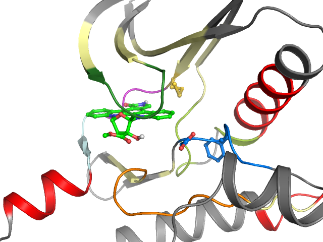 The orthosteric binding pocket