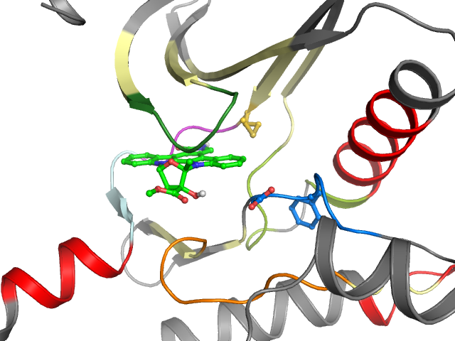 The orthosteric binding pocket