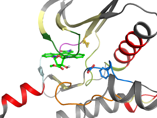 The orthosteric binding pocket