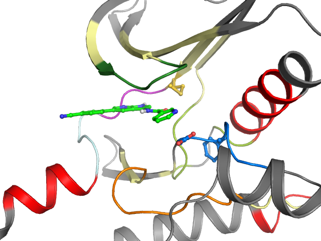 The orthosteric binding pocket