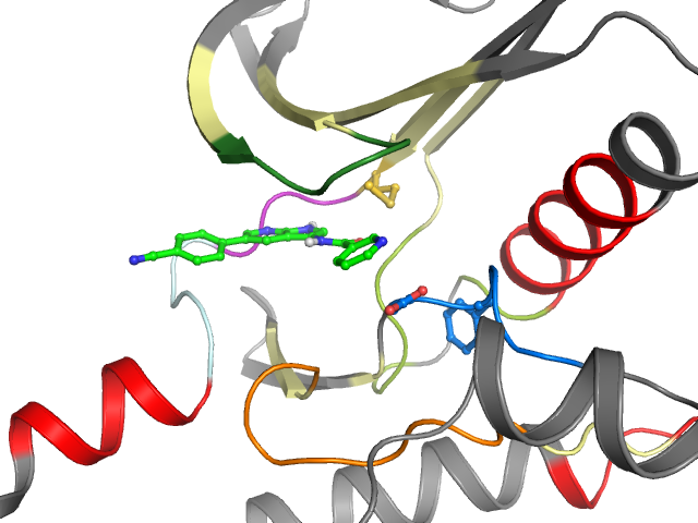The orthosteric binding pocket