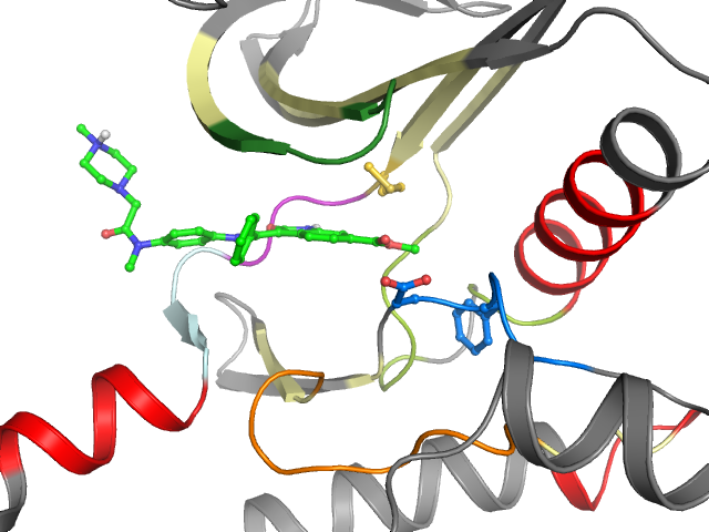 The orthosteric binding pocket