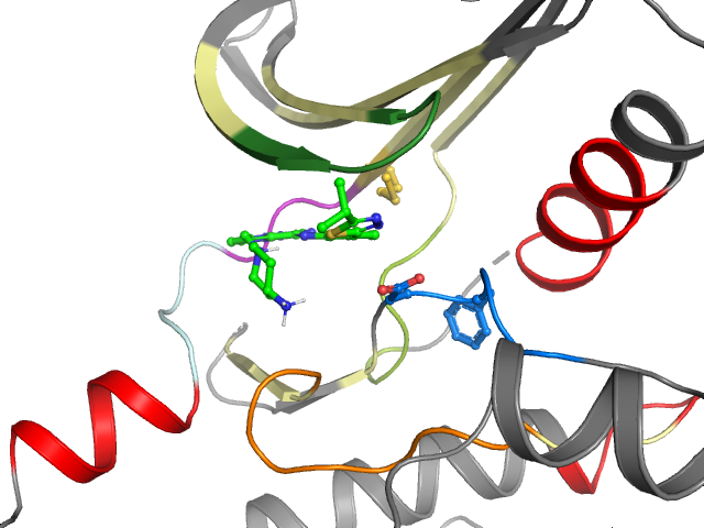 The orthosteric binding pocket