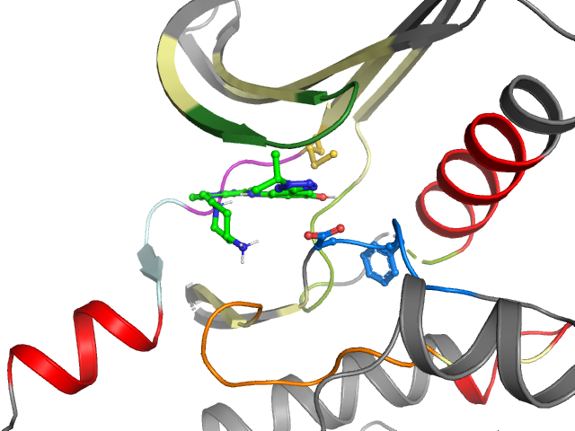 The orthosteric binding pocket
