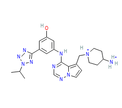 2D structure of the orthosteric ligand