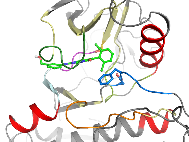 The orthosteric binding pocket