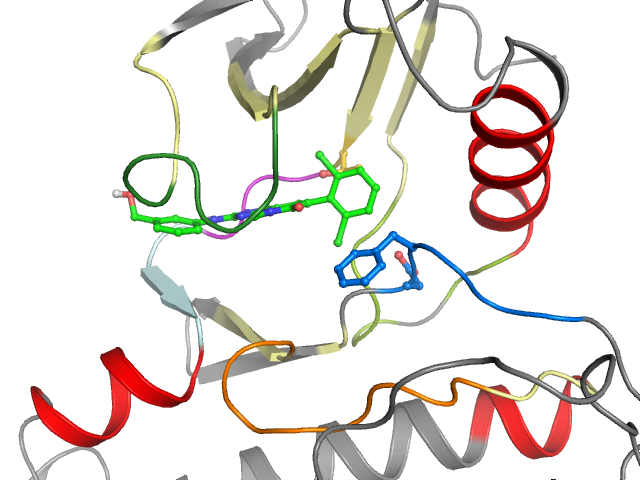 The orthosteric binding pocket