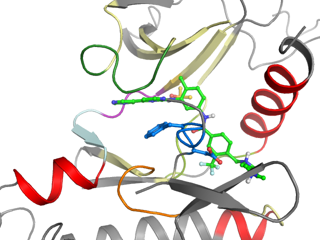 The orthosteric binding pocket