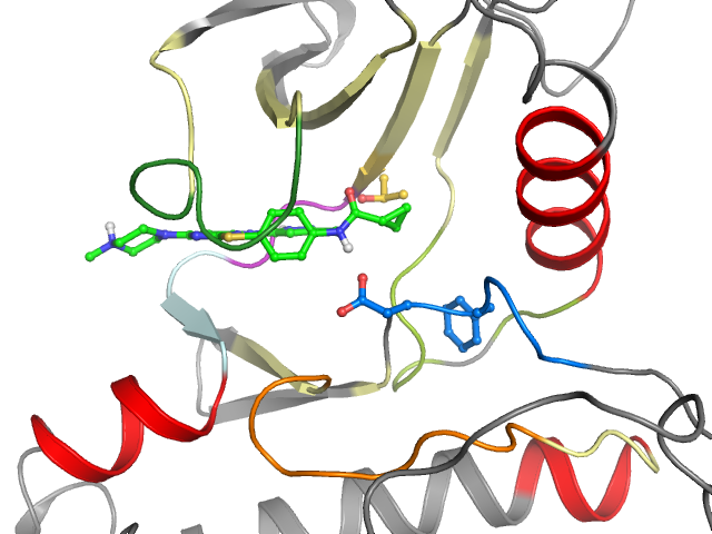The orthosteric binding pocket