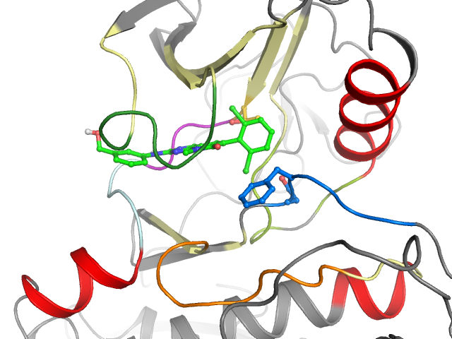 The orthosteric binding pocket
