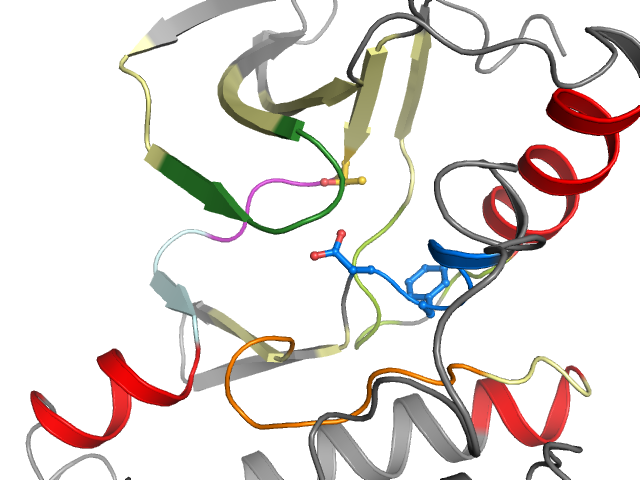The orthosteric binding pocket