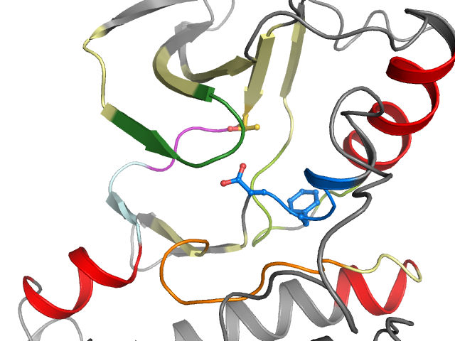 The orthosteric binding pocket