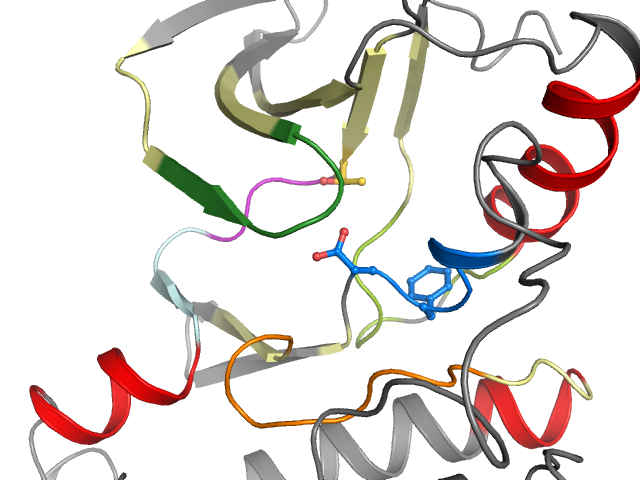 The orthosteric binding pocket