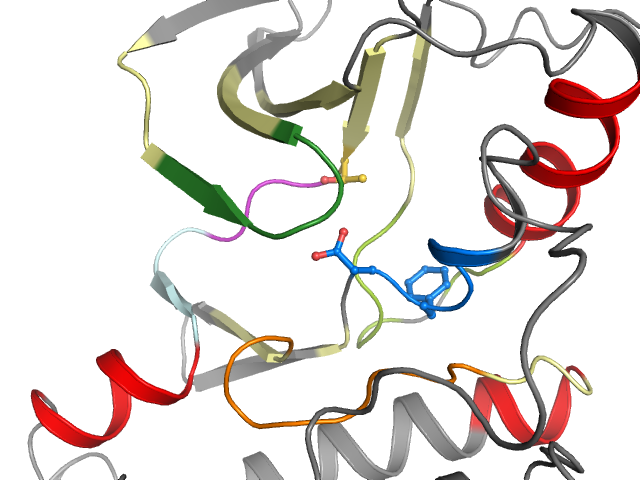 The orthosteric binding pocket