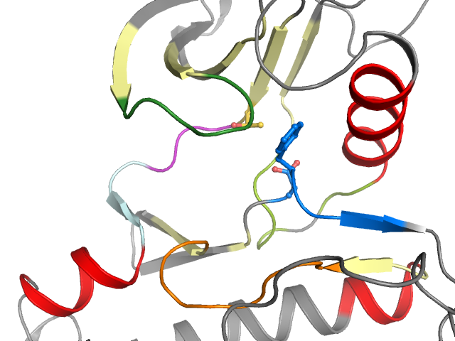The orthosteric binding pocket
