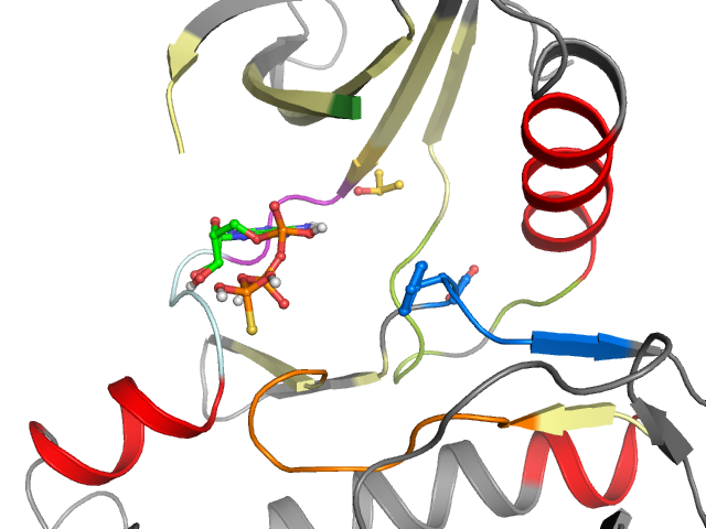 The orthosteric binding pocket