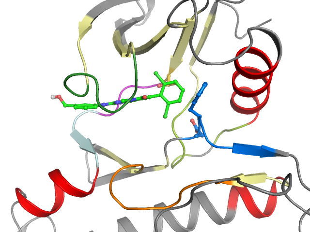 The orthosteric binding pocket