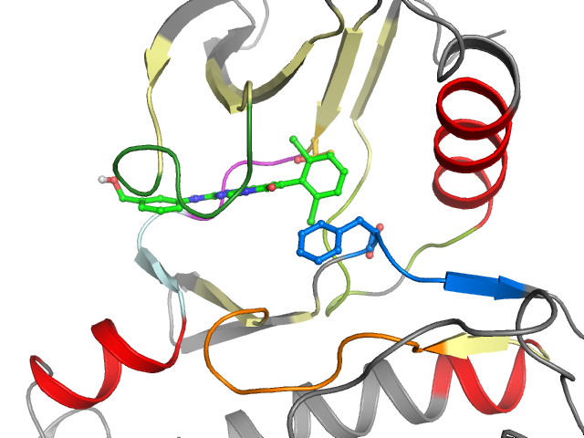 The orthosteric binding pocket