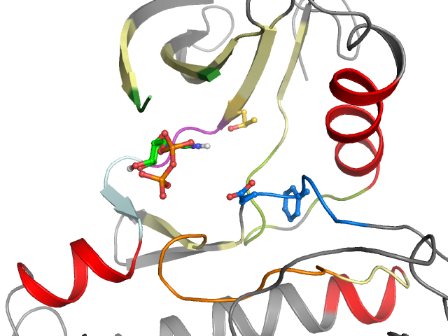 The orthosteric binding pocket