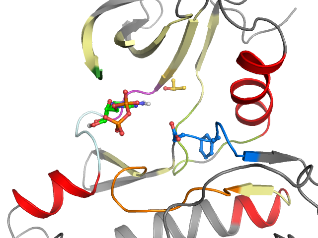 The orthosteric binding pocket