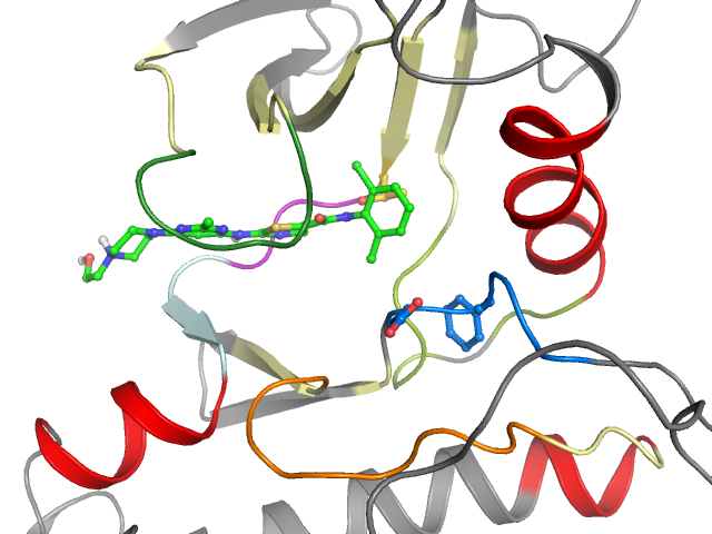 The orthosteric binding pocket
