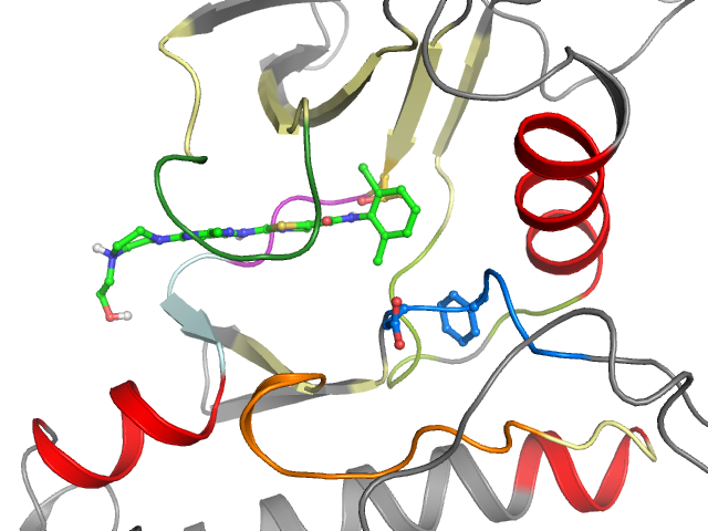 The orthosteric binding pocket