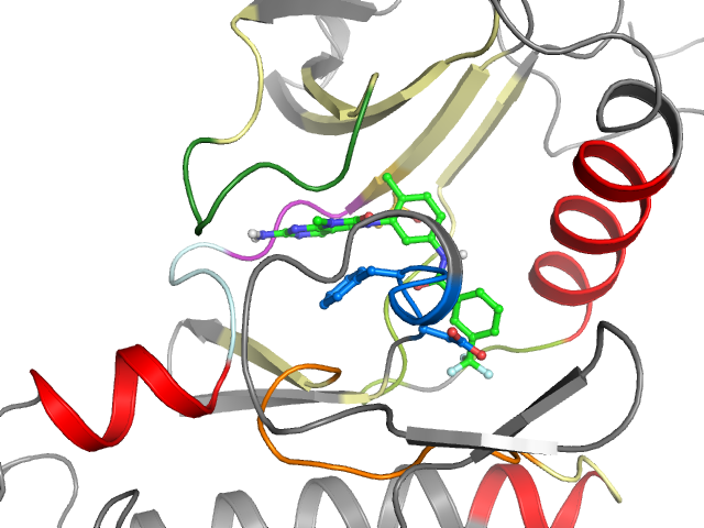 The orthosteric binding pocket