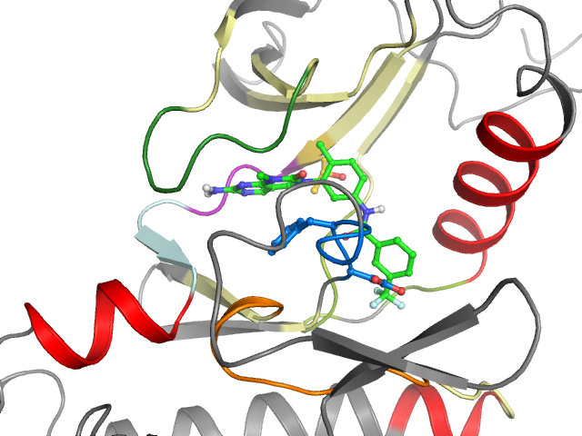 The orthosteric binding pocket