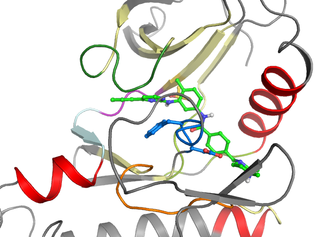 The orthosteric binding pocket