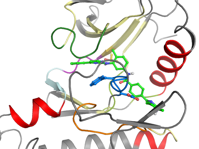 The orthosteric binding pocket
