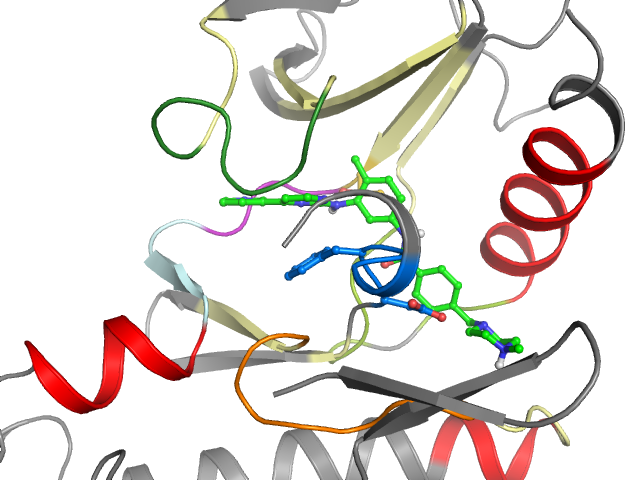 The orthosteric binding pocket
