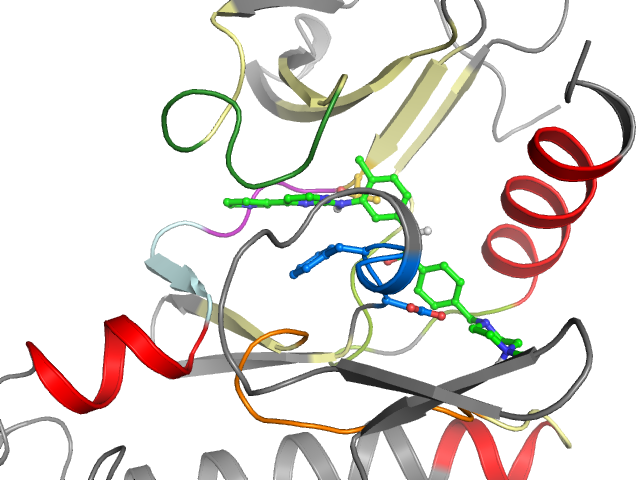 The orthosteric binding pocket