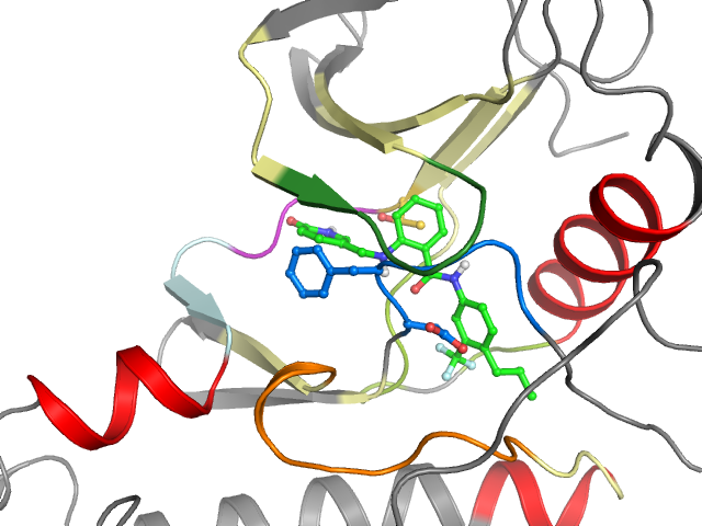 The orthosteric binding pocket