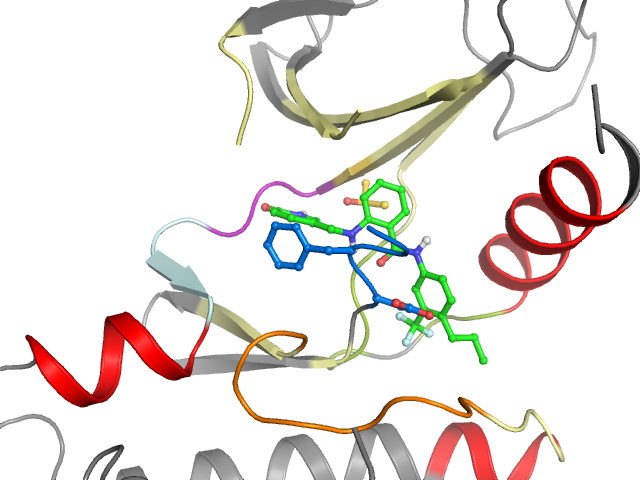 The orthosteric binding pocket