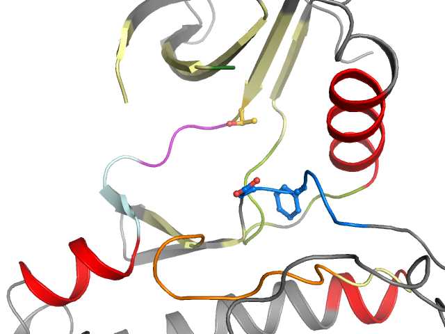 The orthosteric binding pocket