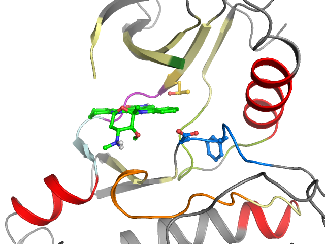 The orthosteric binding pocket