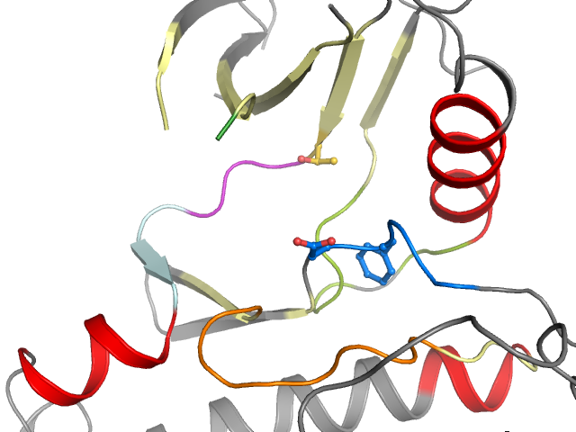The orthosteric binding pocket