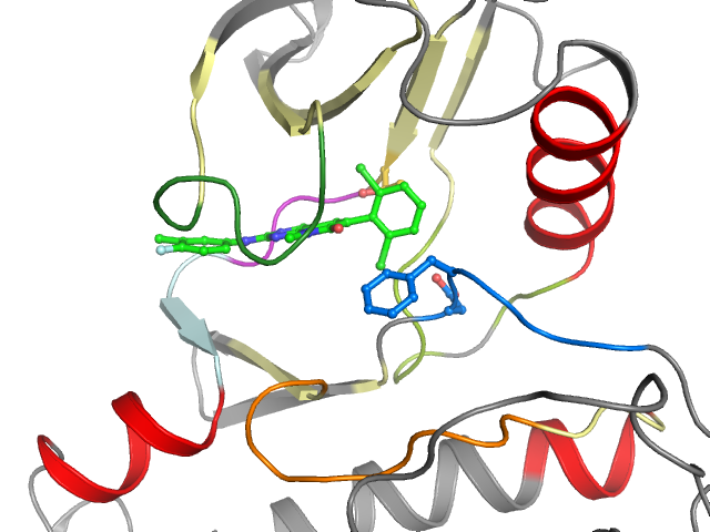 The orthosteric binding pocket