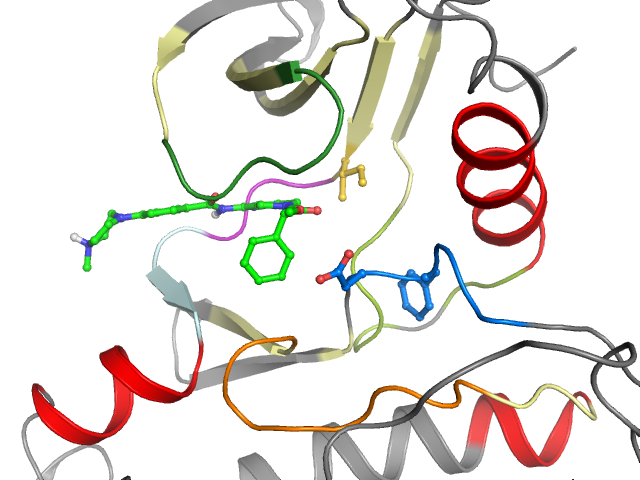 The orthosteric binding pocket