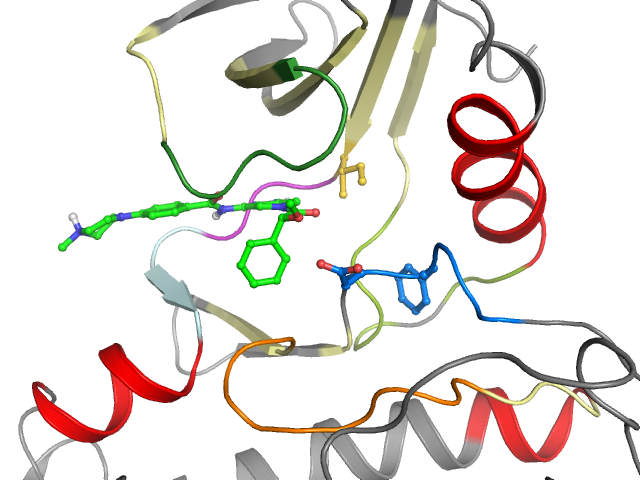 The orthosteric binding pocket