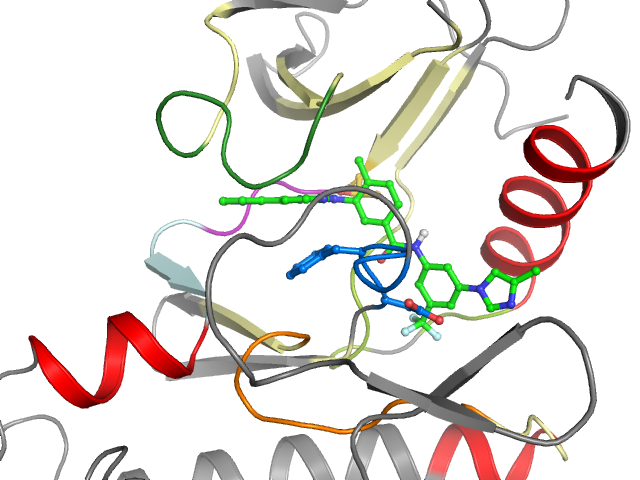The orthosteric binding pocket