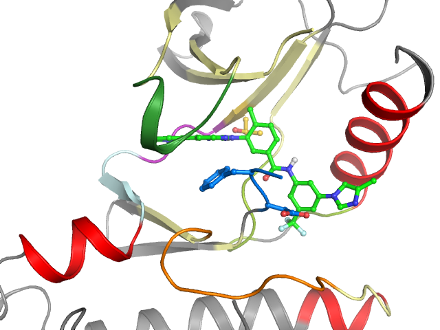 The orthosteric binding pocket