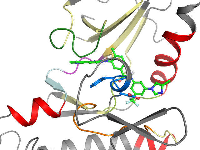 The orthosteric binding pocket