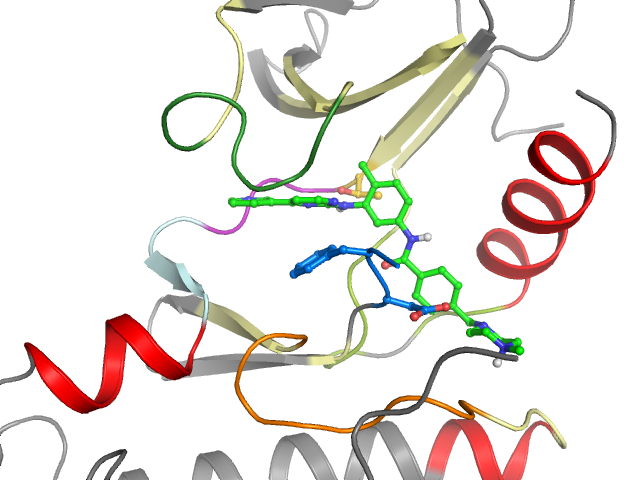 The orthosteric binding pocket