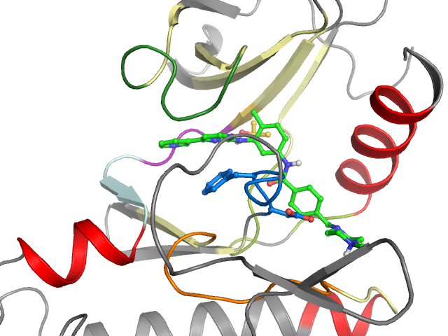 The orthosteric binding pocket