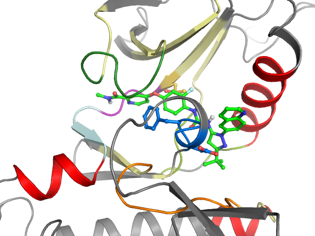 The orthosteric binding pocket