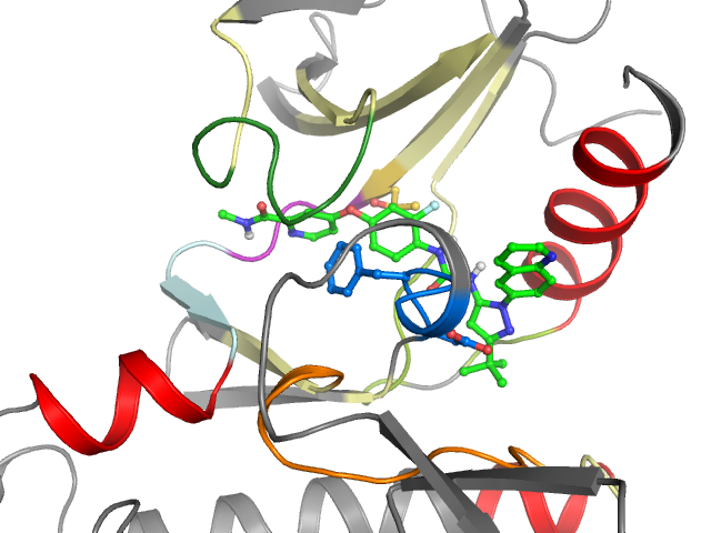 The orthosteric binding pocket