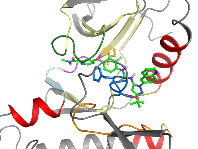 The orthosteric binding pocket