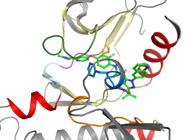 The orthosteric binding pocket
