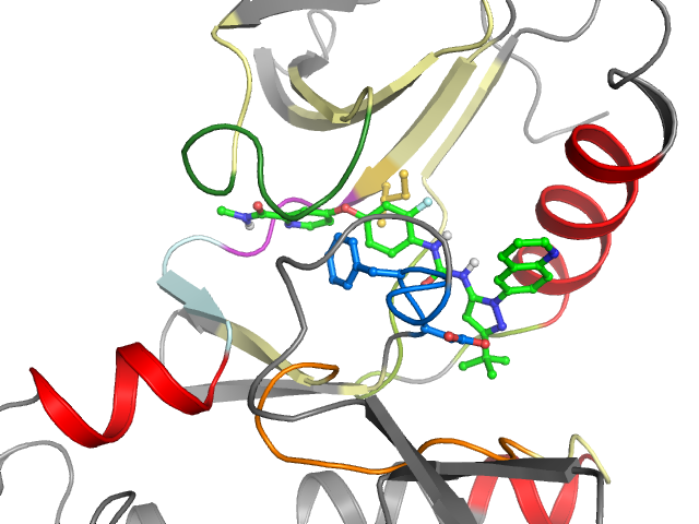 The orthosteric binding pocket